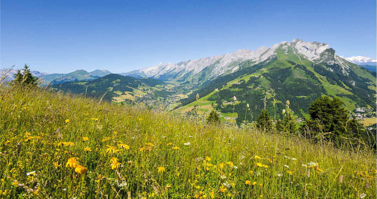 aravis rencontres