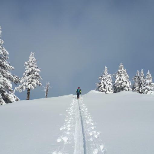 SKI DE RANDONNÉE EN PRIVÉ AVEC VOTRE GUIDE